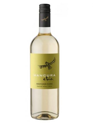 rượu vang Mancura Etinia Sauvignon Blanc