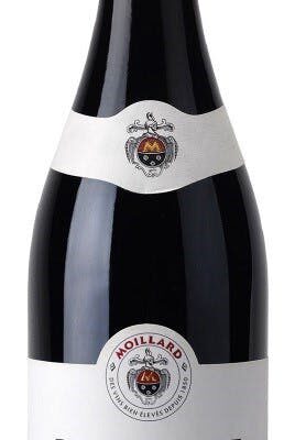 Moillard Bourgogne Pinot Noir Tradition